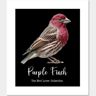 Purple Finch - The Bird Lover Collection Posters and Art